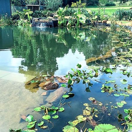 Deo Resta Guest Lodge Piet Retief Buitenkant foto
