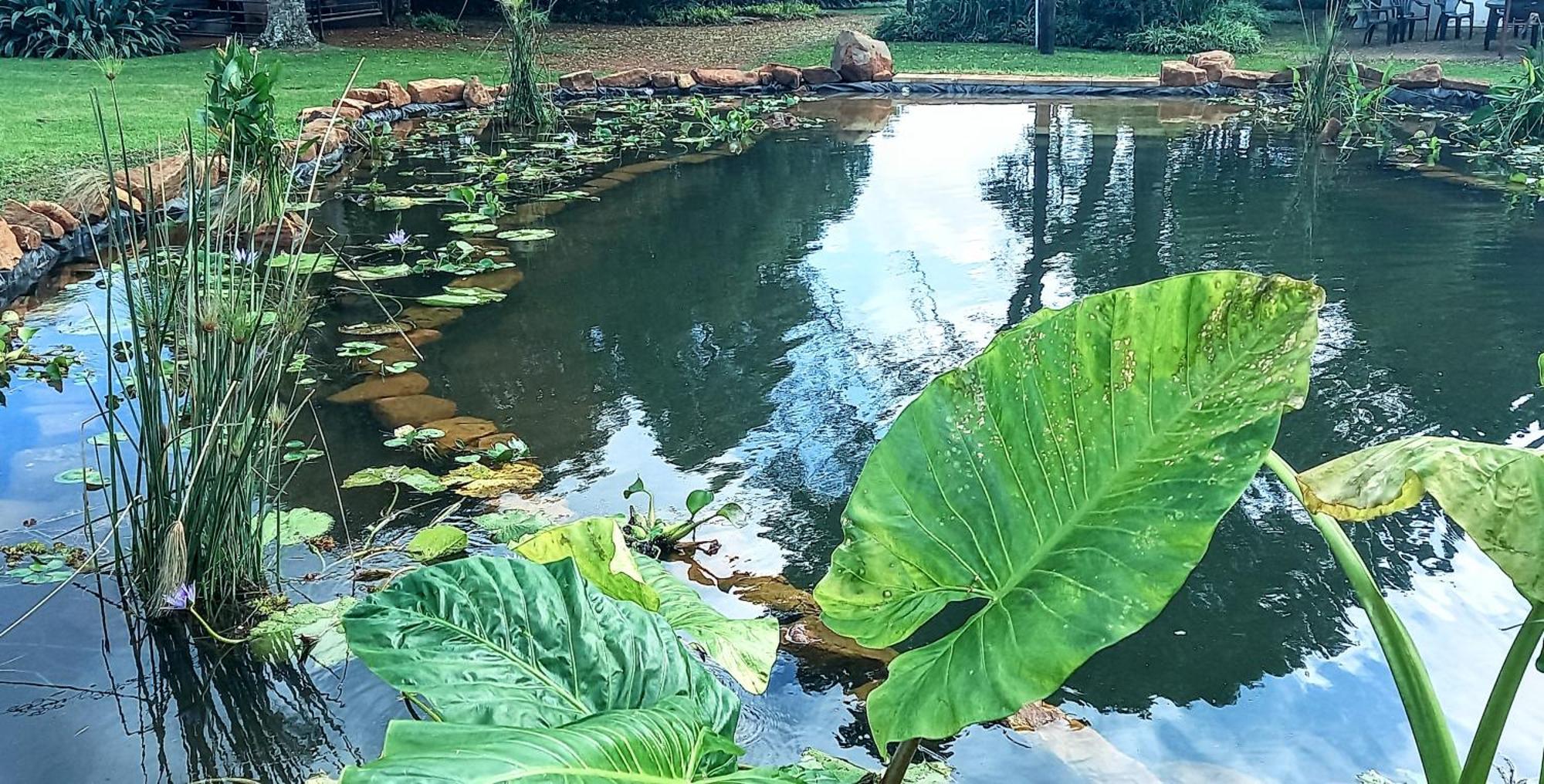 Deo Resta Guest Lodge Piet Retief Buitenkant foto